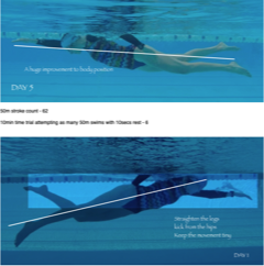 SFT online swim analysis example image